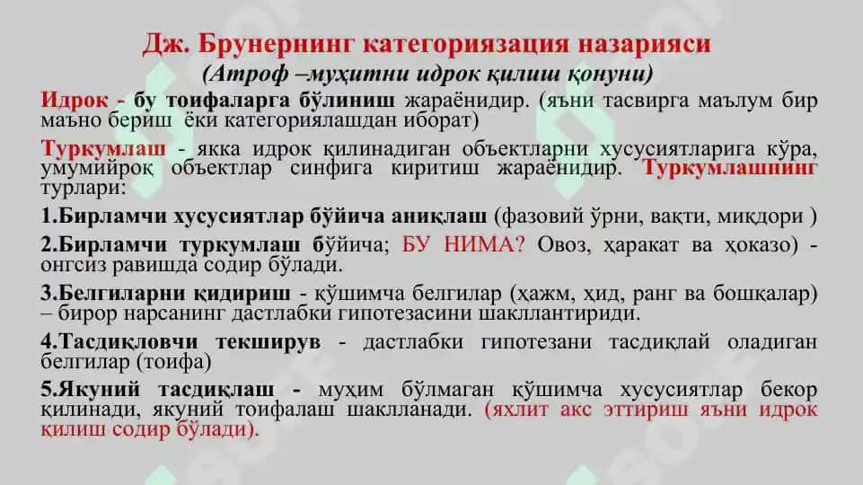 Kognitiv psixologiya 6