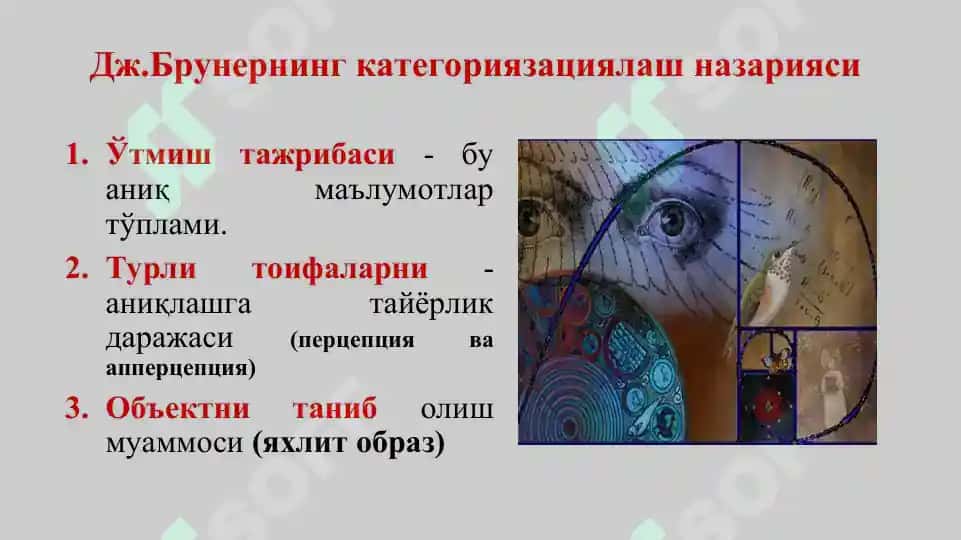 Kognitiv psixologiya 7