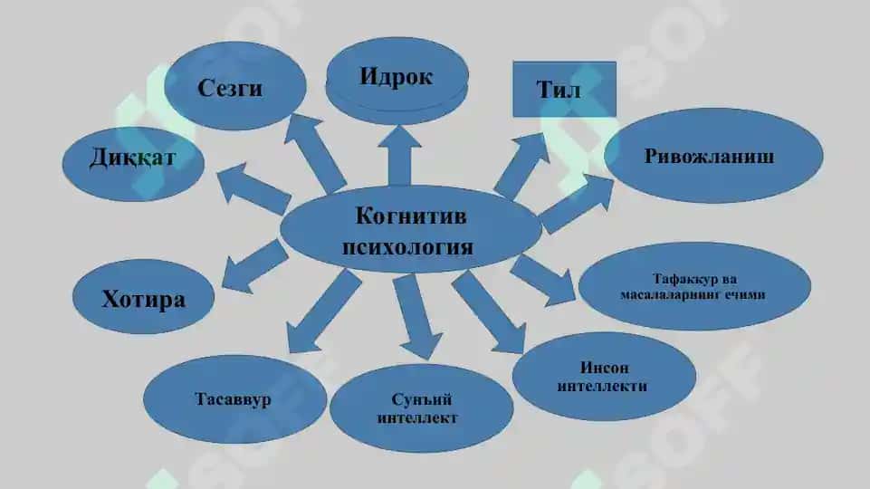 Kognitiv psixologiya 8