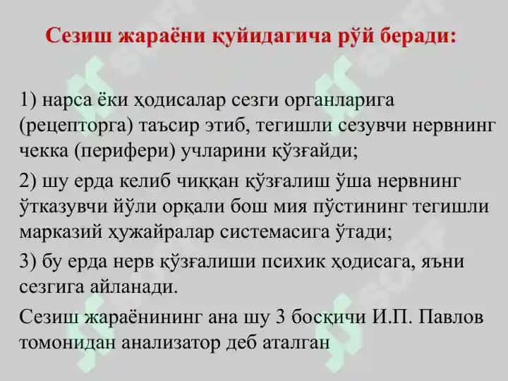 Sеzgilаr 6