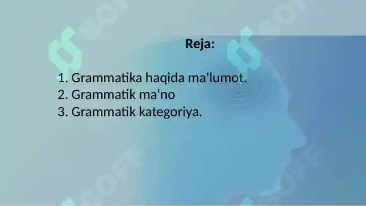 Grammatik ma'noni ifodalovchi vositalar 2