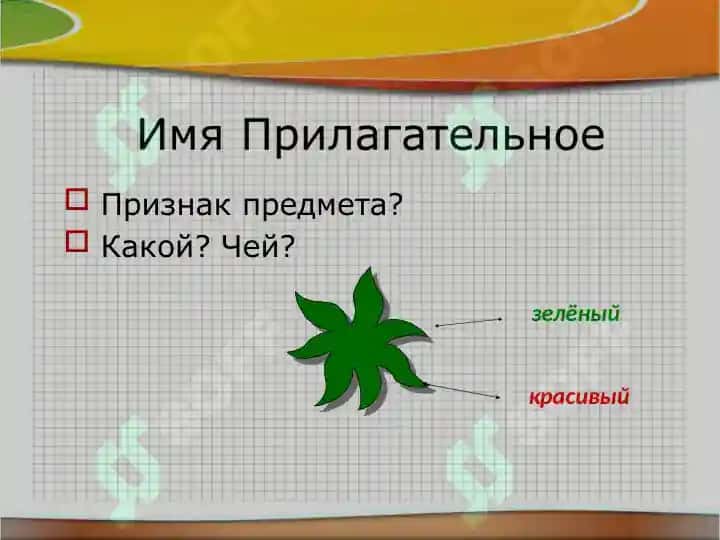 Морфология. 7