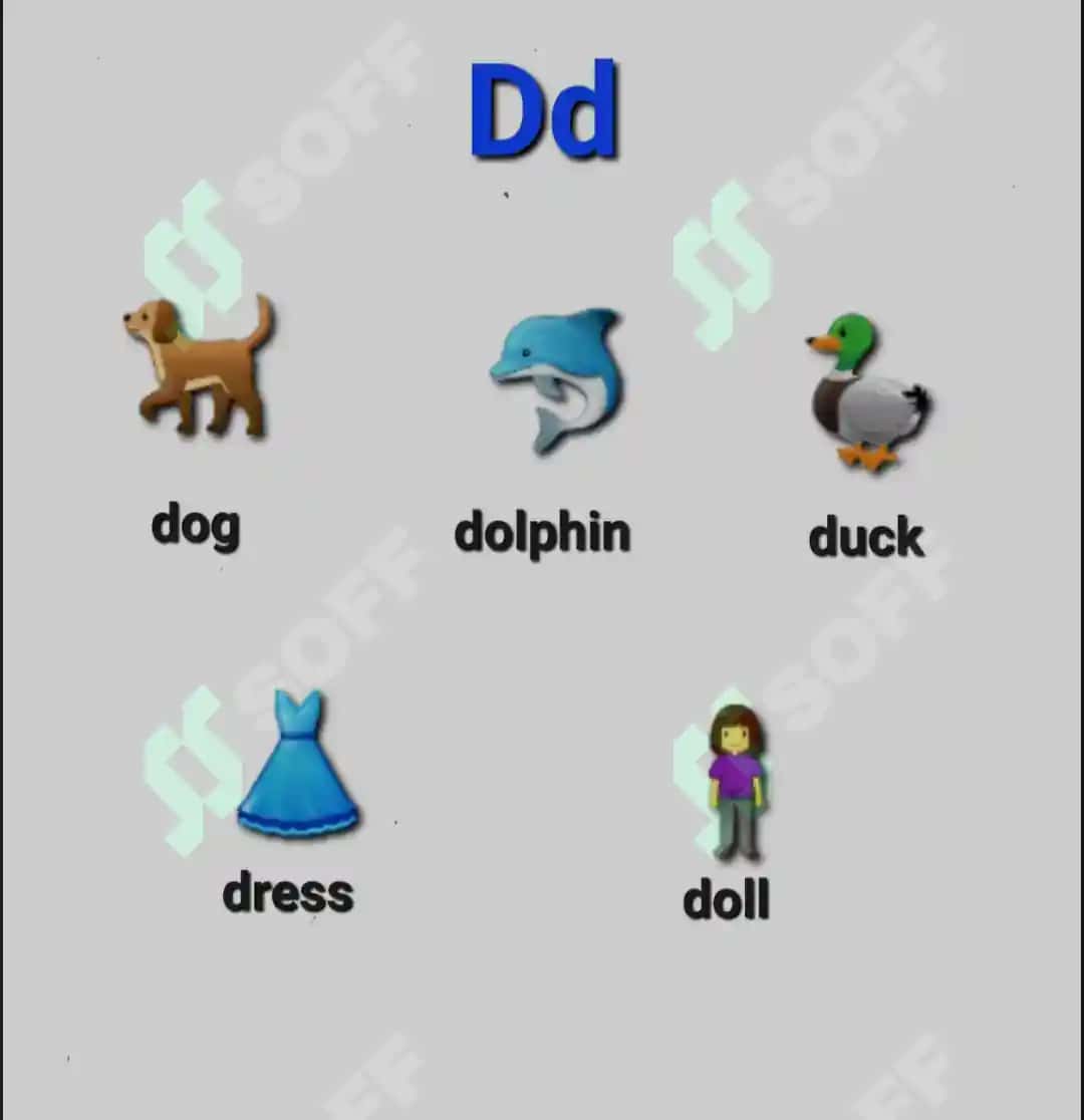 Alphabet 4