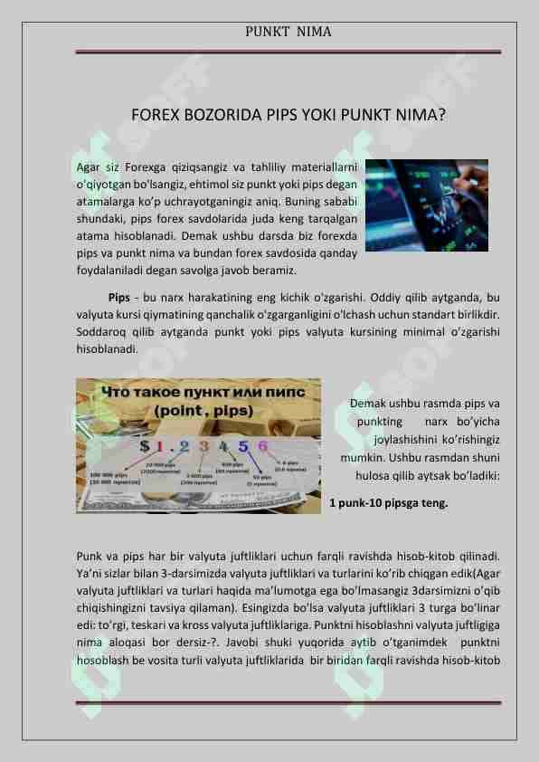 Punkt nima? 5-dars.Forex.