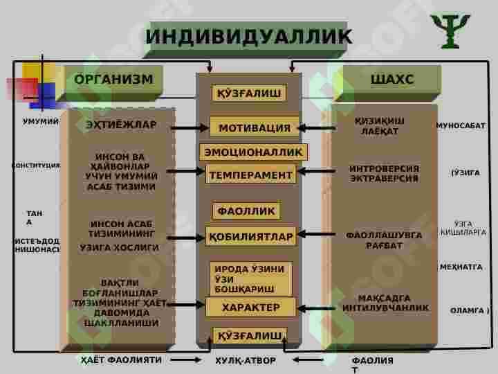 ШАХСНИНГ ИНДИВИДУАЛ ПСИХОЛОГИК ХУСУСИЯТЛАРИ ДИАГНОСТИКА ҚИЛИШ. ХАРАКТЕР, ТЕМПЕРАМЕНТ ВА ҚОБИЛИЯТЛАРНИ БИЛИШНИНГ АҲАМИЯТИ 4