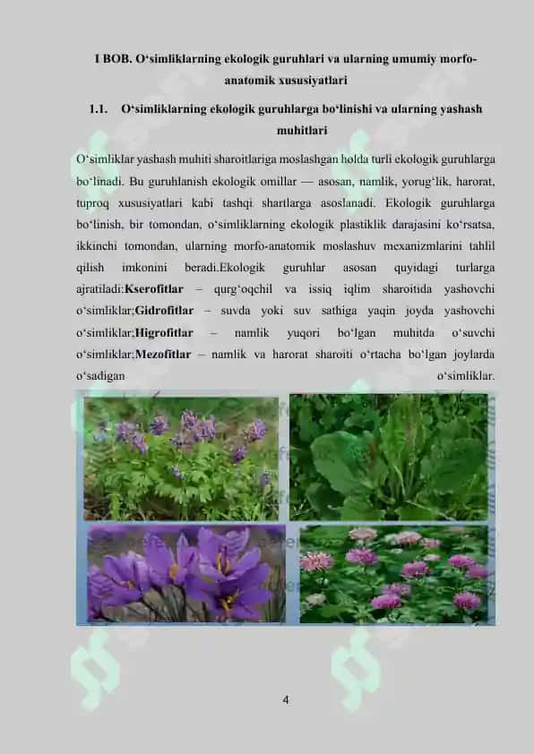 Turli ekologik guruhlarga mansub o'simliklarning morfo-anotomik tuzulishini o'rganish 4