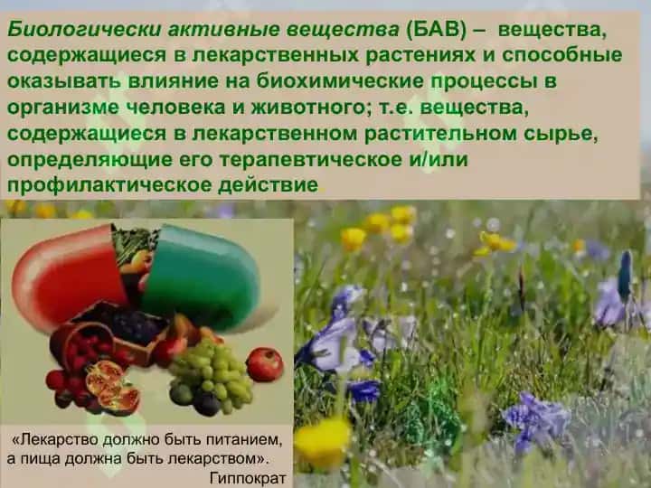 Воздействие биологически активных и лекарственных веществ на детский организм 2