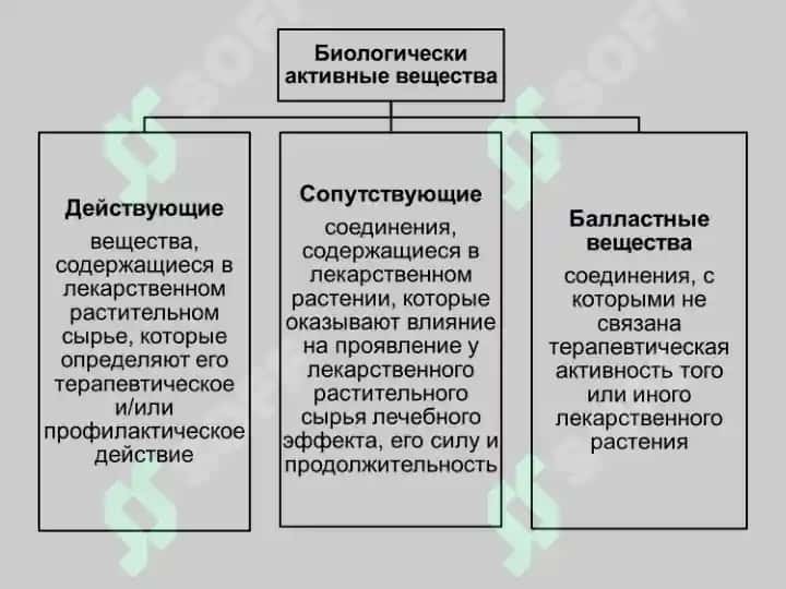 Воздействие биологически активных и лекарственных веществ на детский организм 3