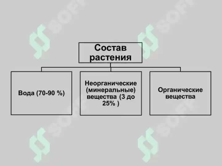 Воздействие биологически активных и лекарственных веществ на детский организм 4