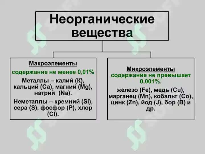 Воздействие биологически активных и лекарственных веществ на детский организм 5