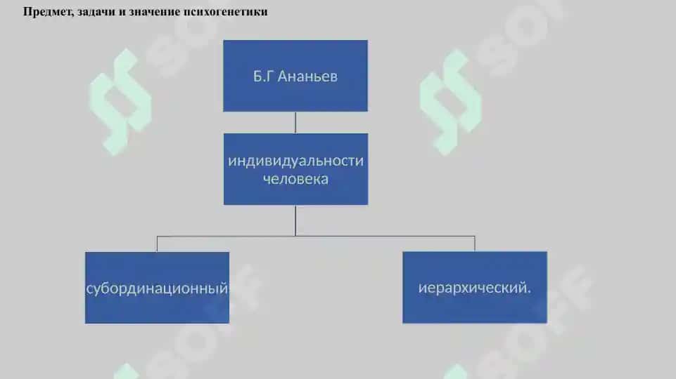 Психогенетика в схемах. Составление структурно-логических схем 2