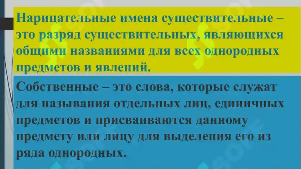 Грамматические категории имени существительного в русском и узбекском языках 5