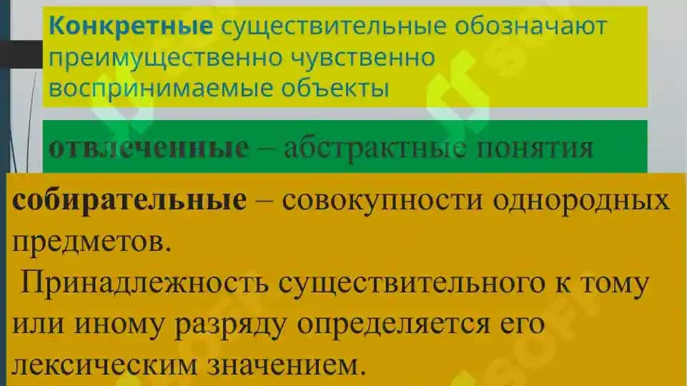 Грамматические категории имени существительного в русском и узбекском языках 6