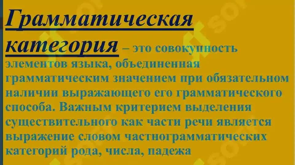 Грамматические категории имени существительного в русском и узбекском языках 7