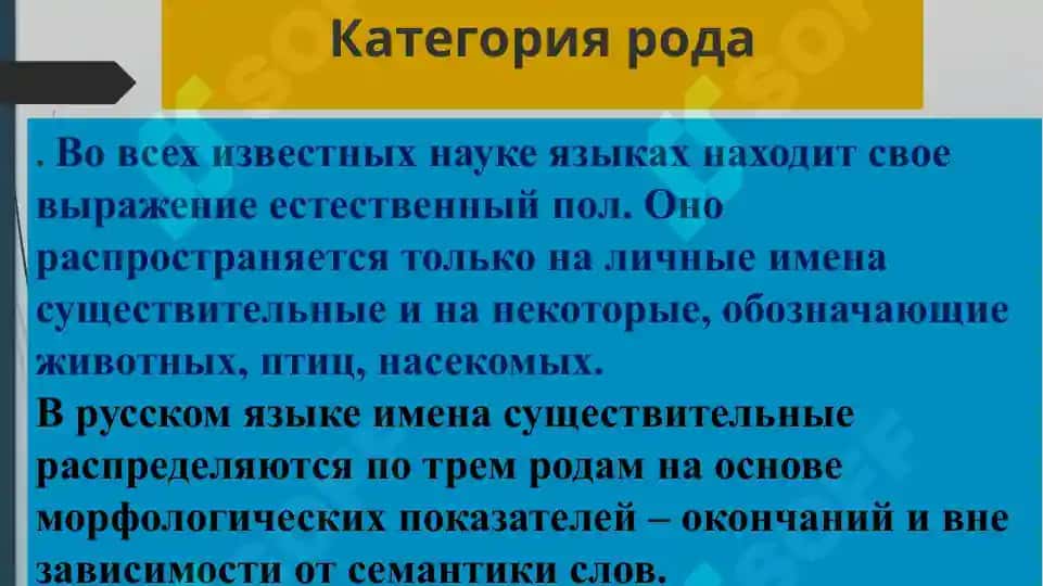 Грамматические категории имени существительного в русском и узбекском языках 8