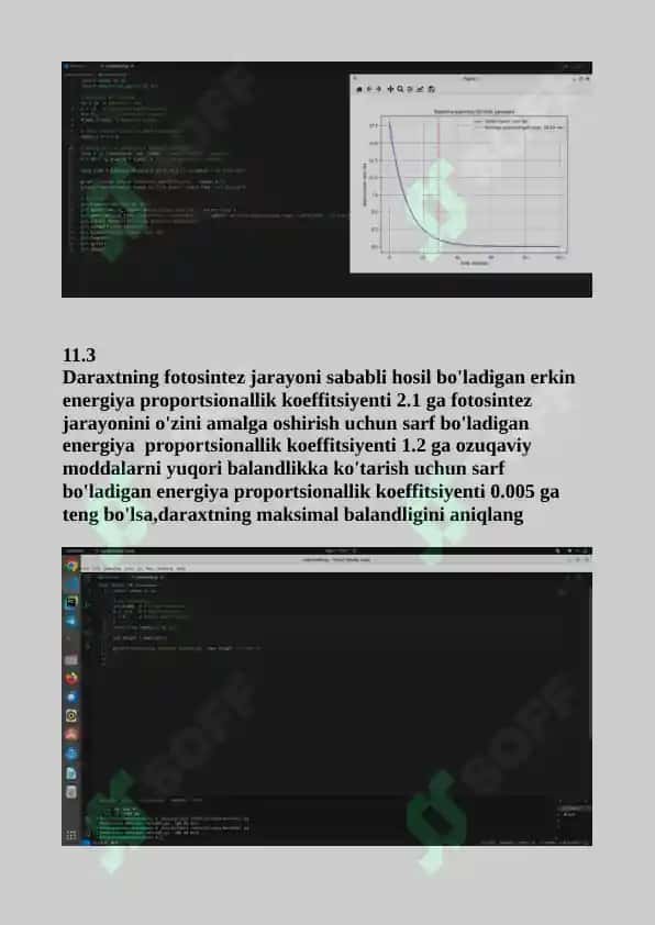 Matematik modellashtirish fanidan mustaqil ish 2