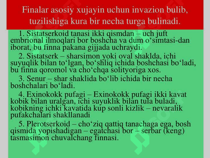 Tasmasimon chuvalchanglar 4
