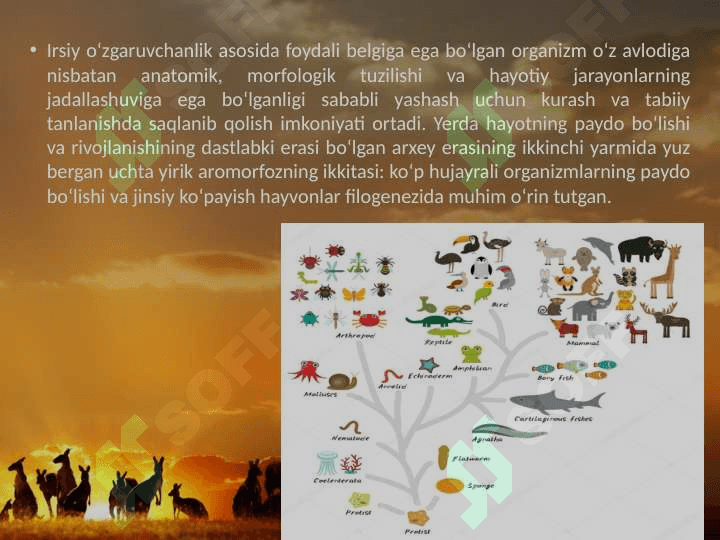Hayvonot dunyosidagi evolutsion o‘zgarishlar. 2