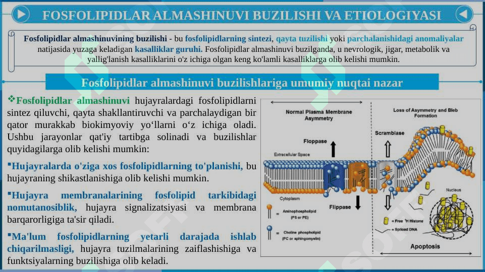 FOSFOLIPIDLAR ALMASHINUVI BUZULISHI 7