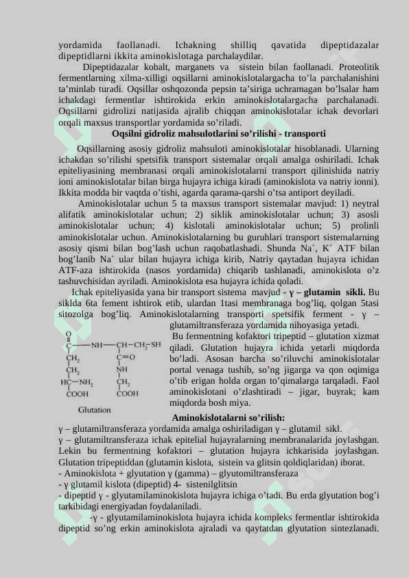 Oqsillarni hazm bolishi. Aminokislotalarning oxirgi mahsulotgacha parchalanishi. Ammiakni zararsizlantirish usullari 5