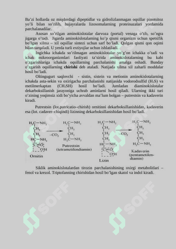 Oqsillarni hazm bolishi. Aminokislotalarning oxirgi mahsulotgacha parchalanishi. Ammiakni zararsizlantirish usullari 6
