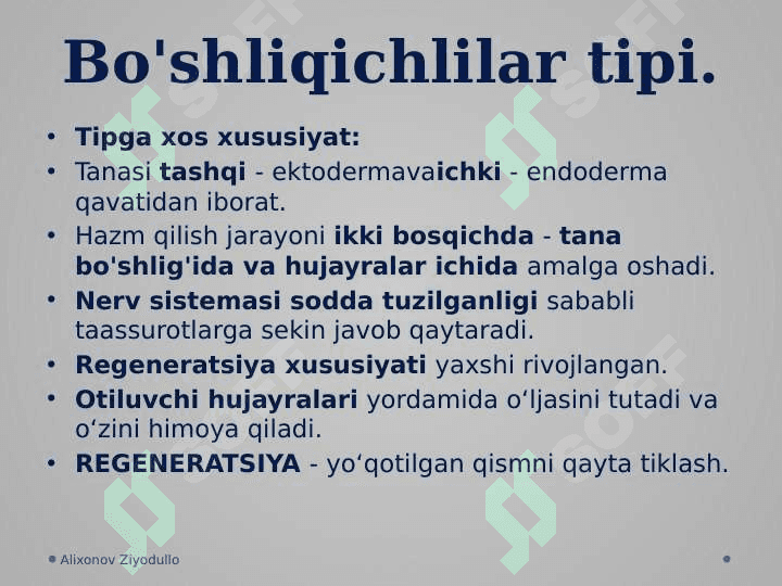 Umurtqasiz hayvonlar 7