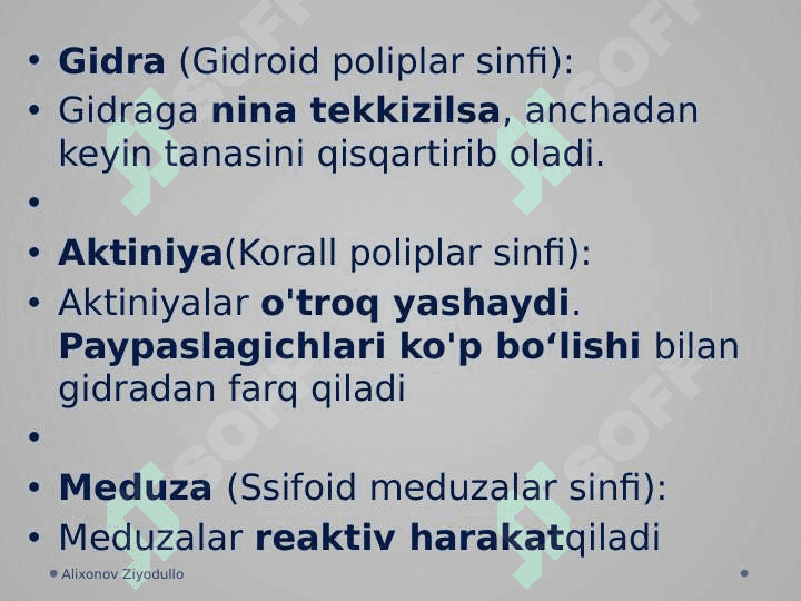 Umurtqasiz hayvonlar 8
