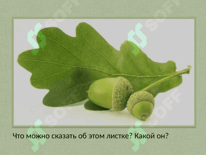 День поэзии М.Ю.Лермонтов  лермонтов Листок 3