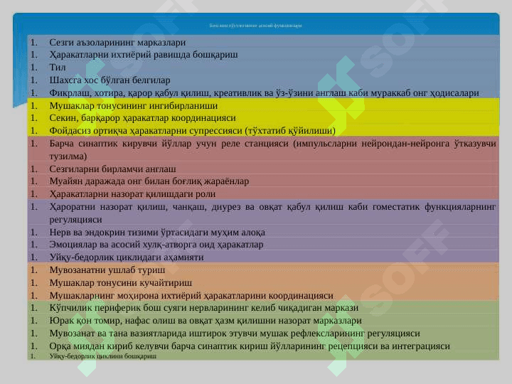 ОLIY NERV SISTEMASI HAQIDA TUSHUNCHA 5
