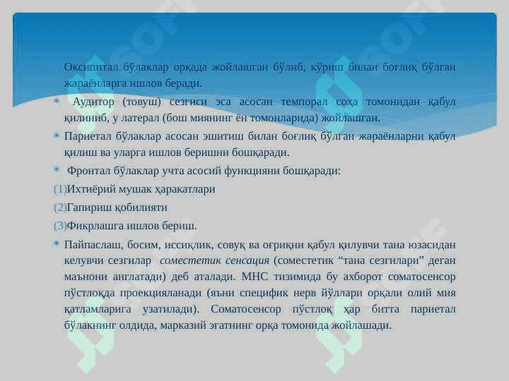 ОLIY NERV SISTEMASI HAQIDA TUSHUNCHA 7