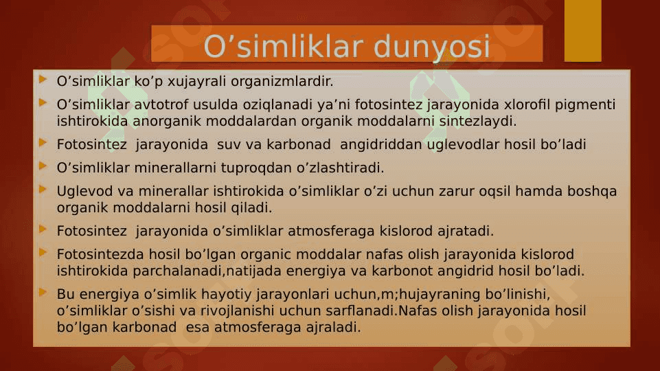 O‘simliklar dunyosi 2