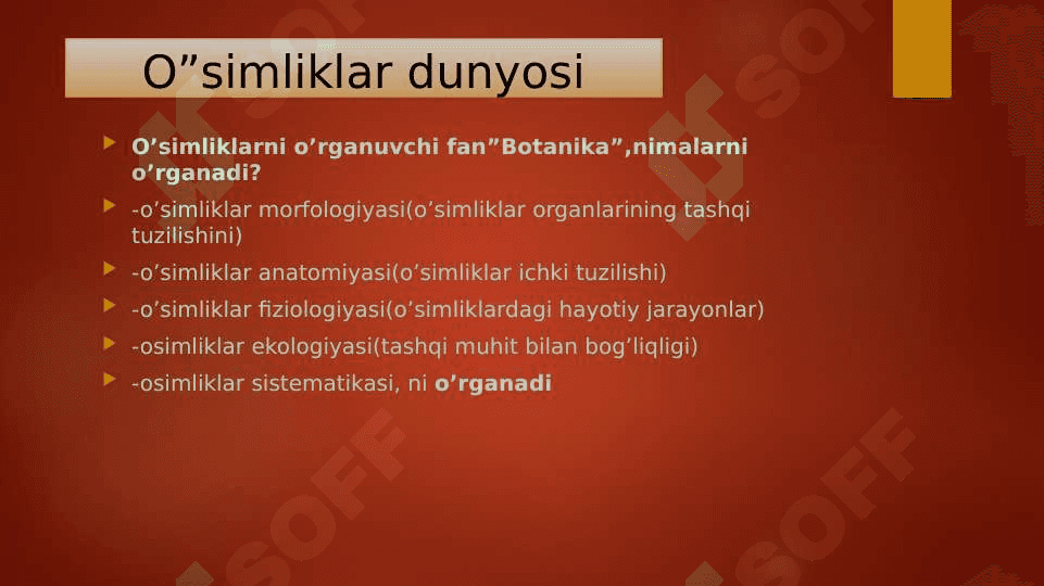 O‘simliklar dunyosi 3