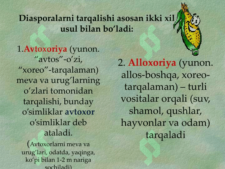 YUKSAK  O’SIMLIKLARNING URUG’LAR  YORDAMIDA KO’PAYISHI haqida umumiy tanishish 6