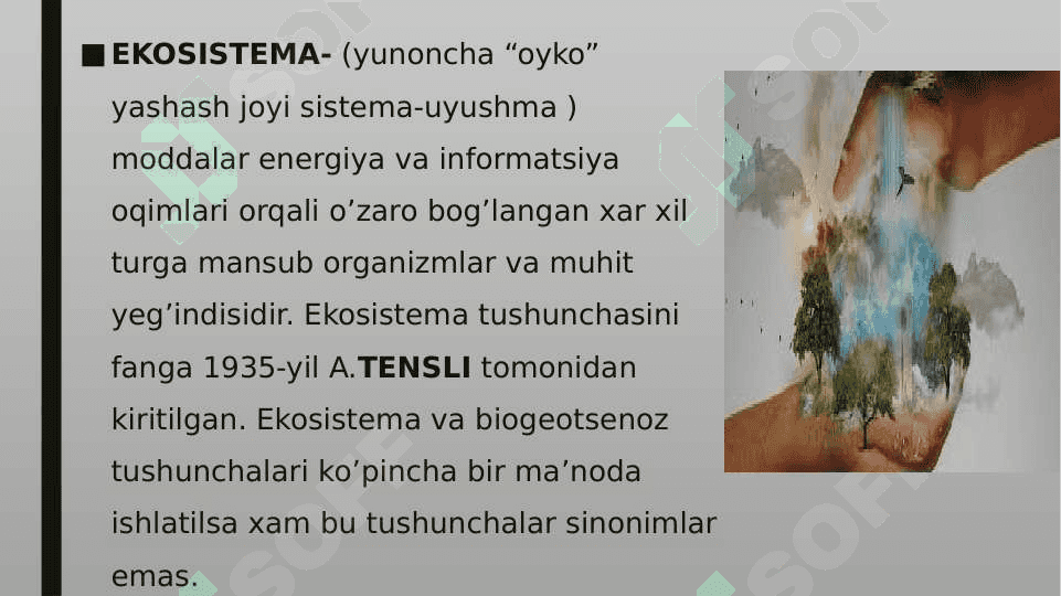 Quruqlik ekosistemalarining shartli,iqlimiy gruppalari va ularning muhim biotsenozlari 3