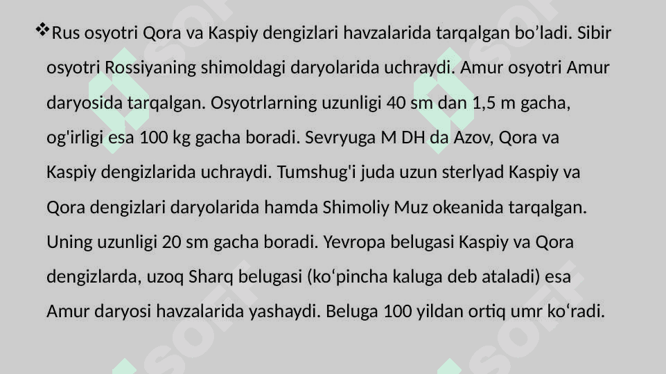 Suyakli baliqlarning sistematikasi 6