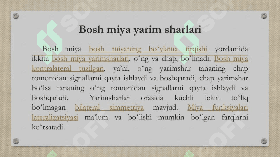 Bosh miya yarim sharlari 6