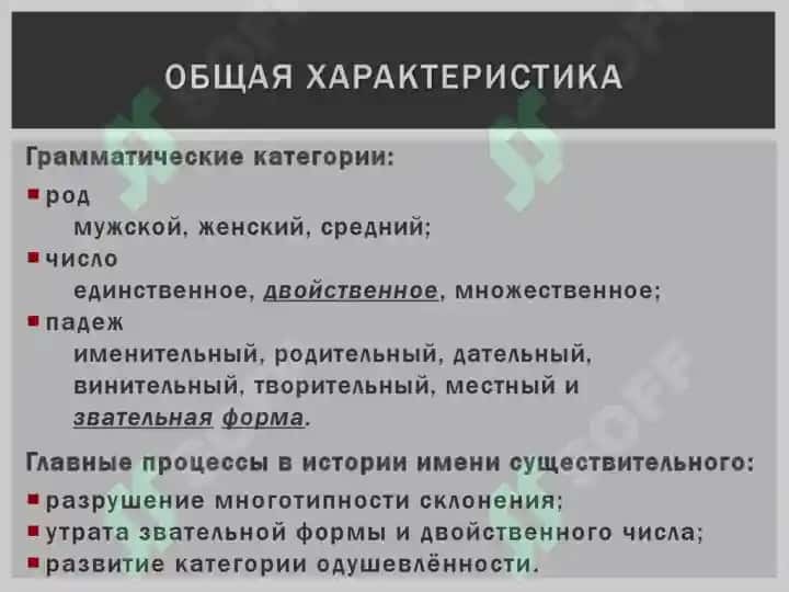 История имен существительных 4