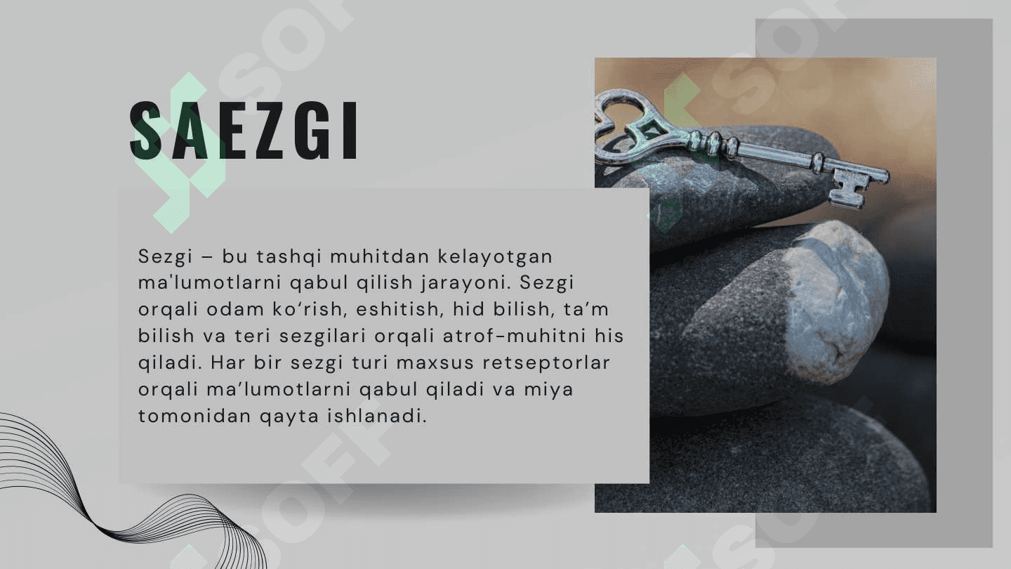 BILISH JARAYONLARI. SEZGI, IDROK. DIQQAT VA XOTIRANING PSIXOLOGIK XUSUSIYATLARI 3