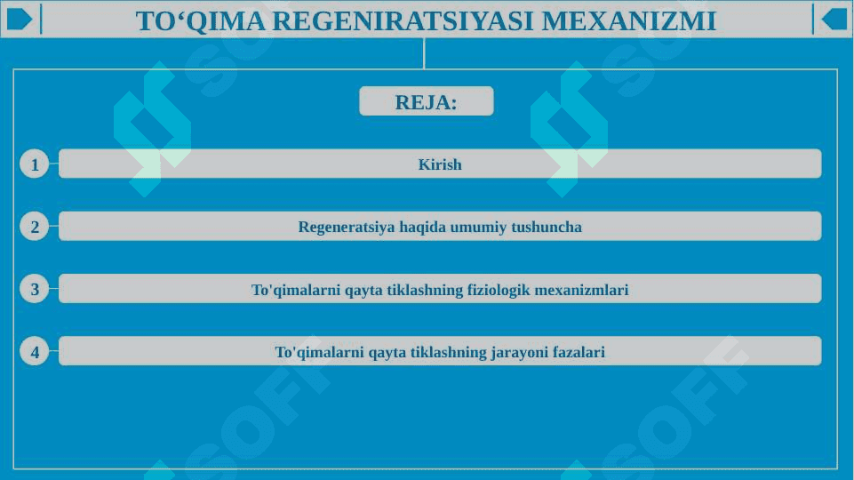 To'qima regeniratsiyasi mexanizmi 2