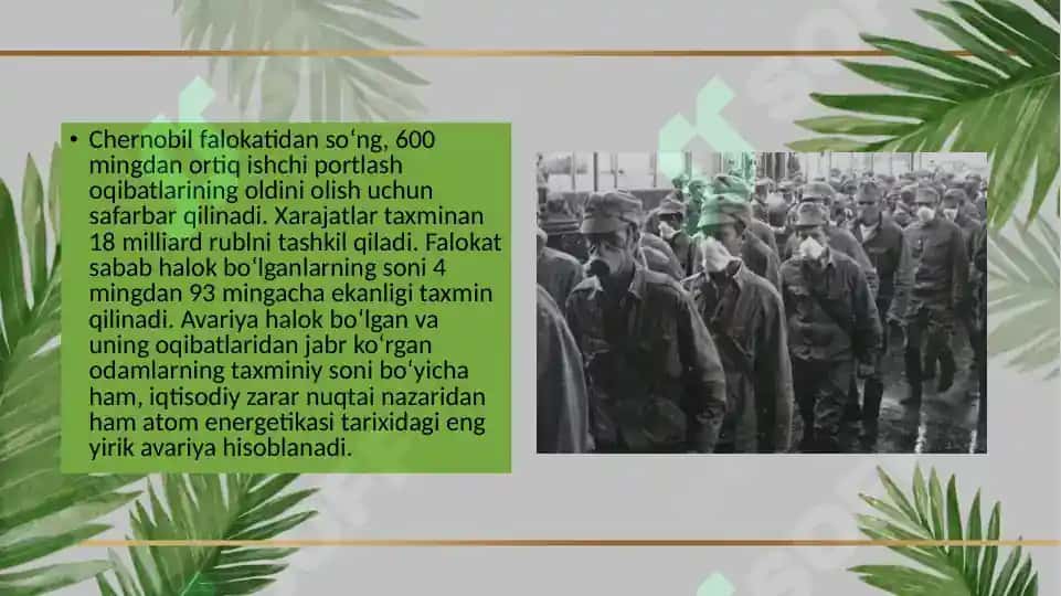 Chernobil halokati va uning oqibatlari 6