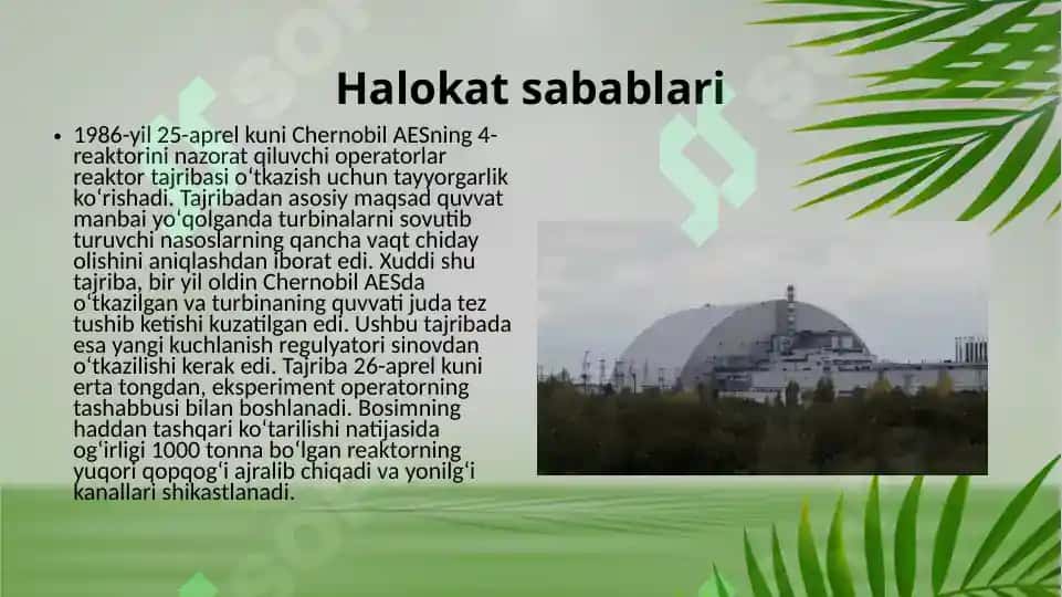 Chernobil halokati va uning oqibatlari 7