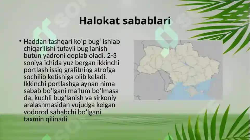 Chernobil halokati va uning oqibatlari 8
