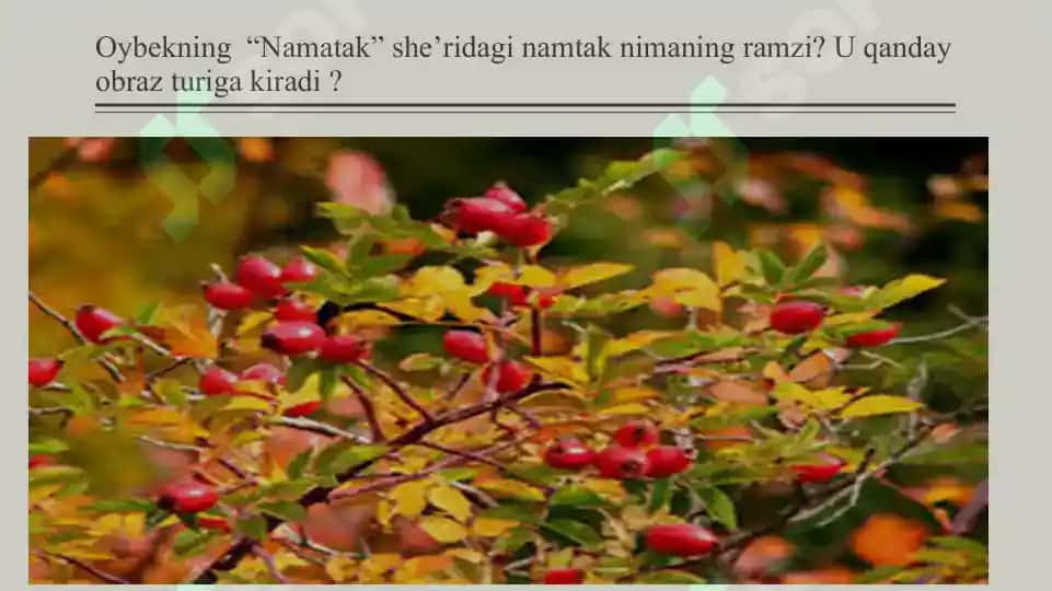 Badiiy asar syujeti 4