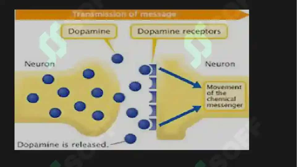 Parkinson kasalligini davolashda qo'llaniladigan dori vositalari 5
