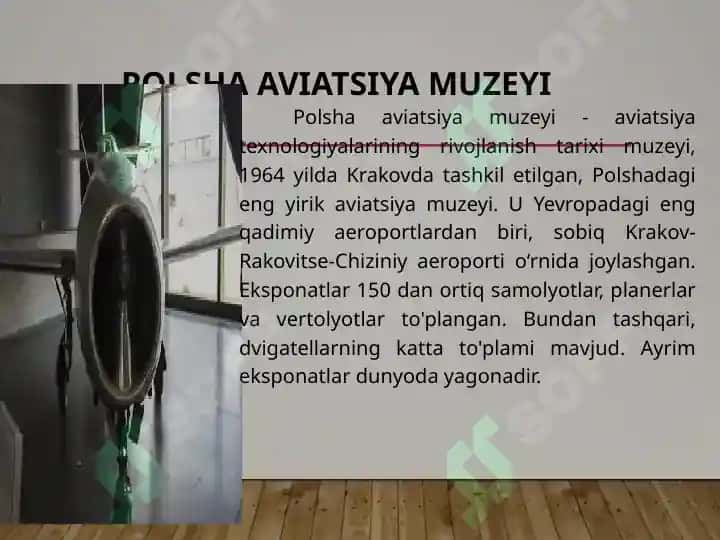 Shvetsiya va Polsha muzeylari 8