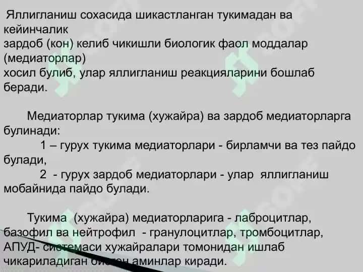 gastamit 4