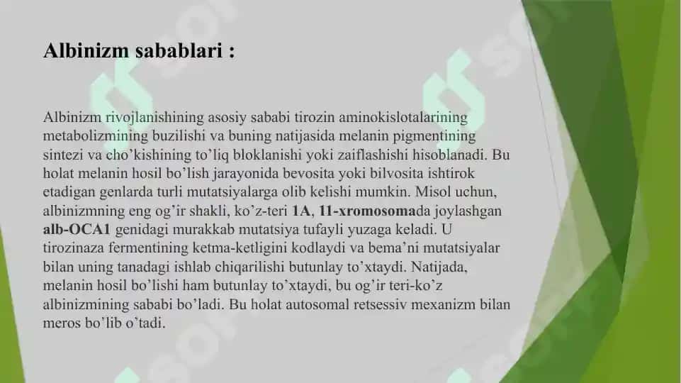Albinizm Kasalligi 8