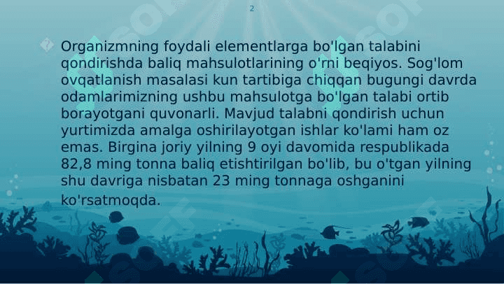 Baliqchilikda agro klaster tashkil etish 2