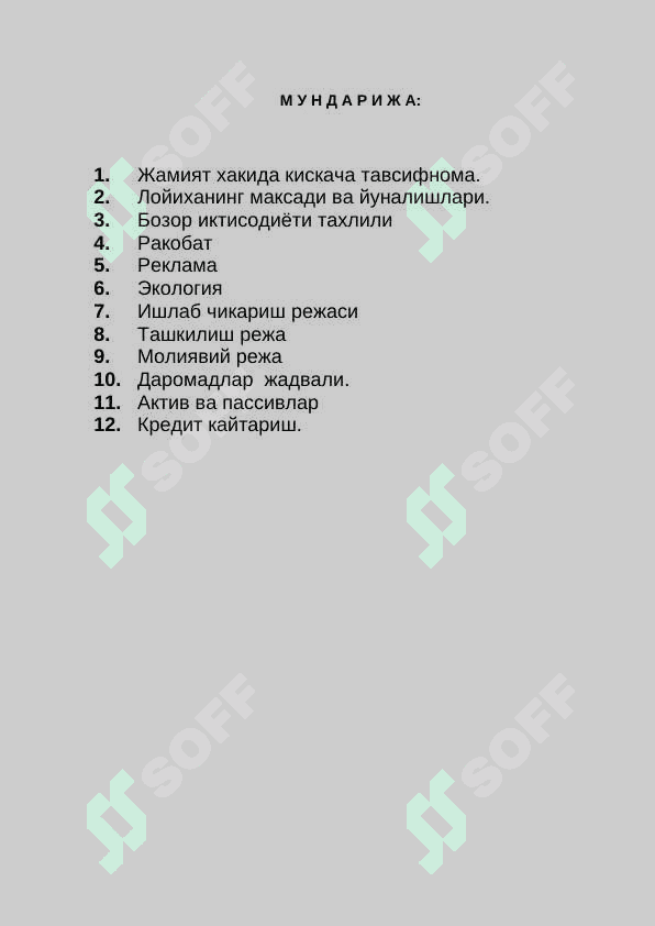 biznes reja: baliq (namuna) 2