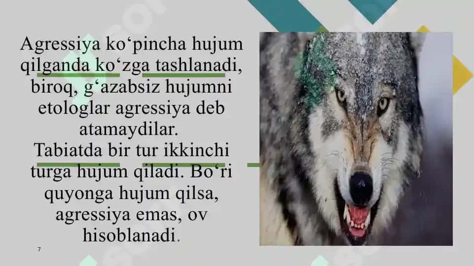 Aggressiya va Xulq 7